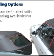 Custom Binding Options